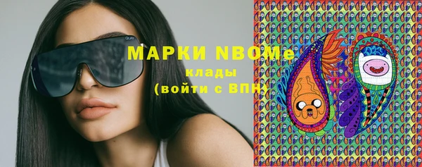 прущие грибы Богданович