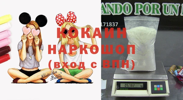 прущие грибы Богданович