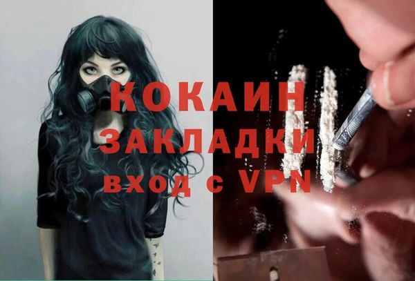 прущие грибы Богданович
